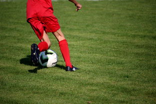 kaiyun电竞-中国篮球职业联赛俱乐部青训体系建设，全国篮球俱乐部青年联赛