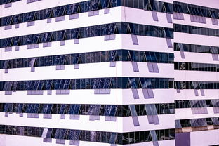 kaiyun电竞-中国篮球职业联赛青训体系建设与优化,中国青年篮球队