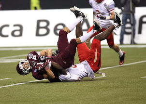 开云官网-世界青年马术锦标赛中国代表团队勇夺佳绩，马术青少年锦标赛