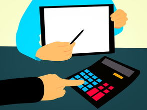 kaiyun官方入口登录-中小学体育课程多样化发展探讨，中小学体育课程教学改革