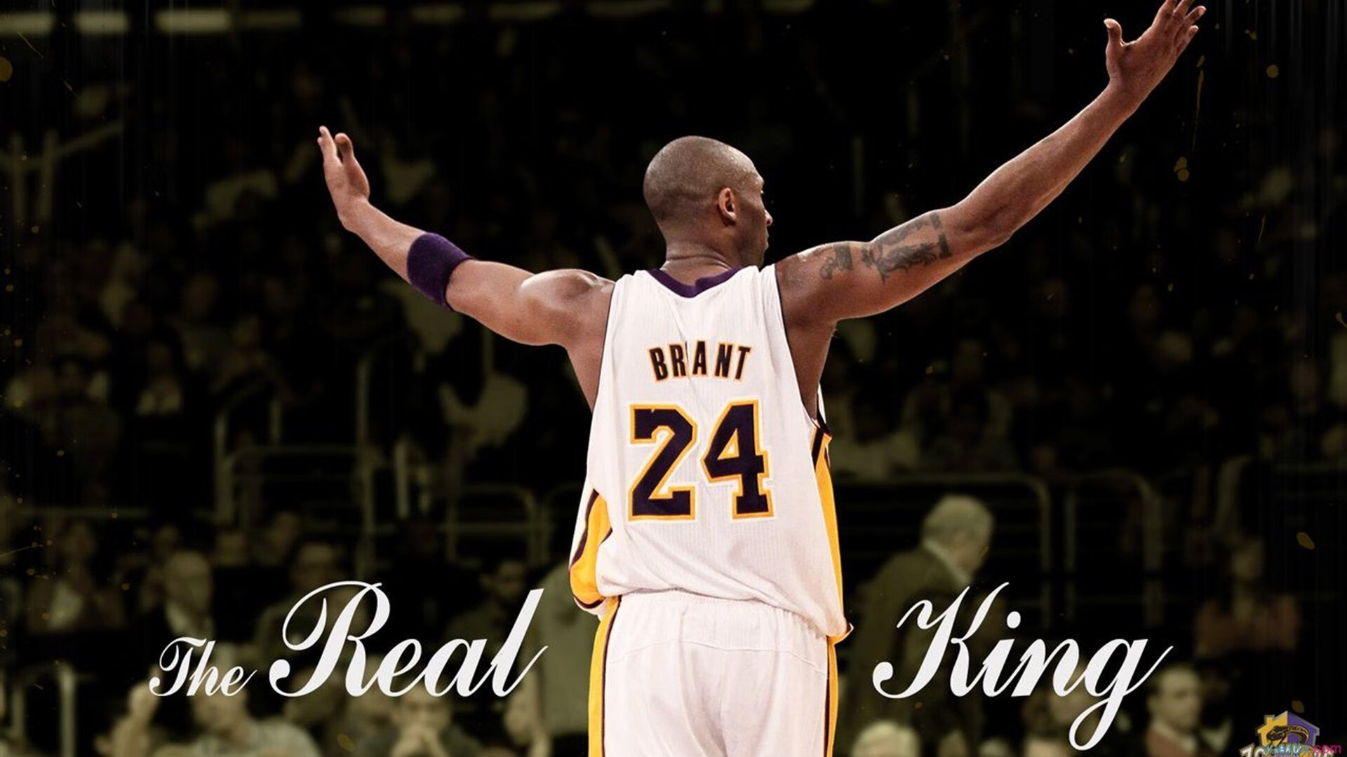 开云体育链接-全国青少年铁人赛青岛站环节顺利完成,铁人杯全国竞走